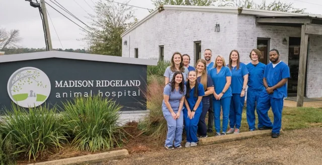 Madison Ridgeland Animal Hospital team standing in front of the clinic